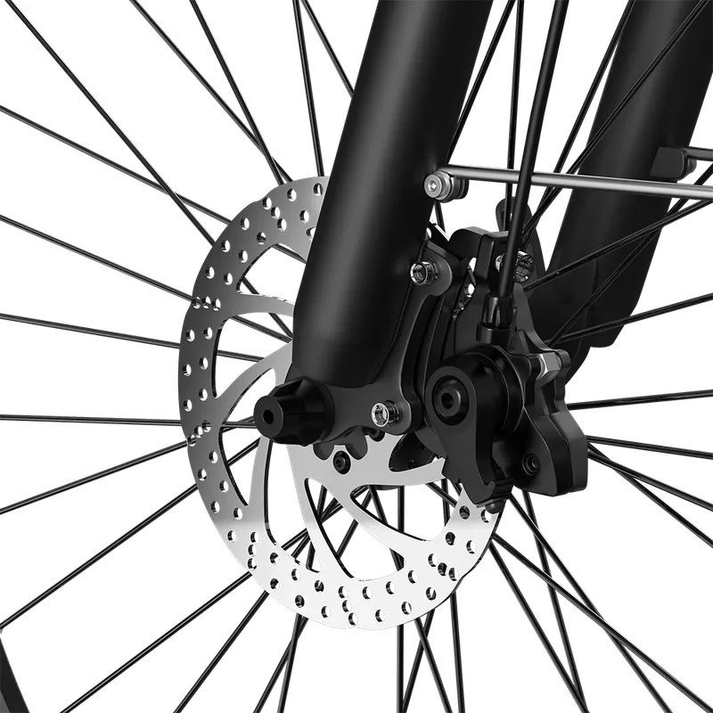 PIXAR C1 E-Bike | City E-Bike mit Samsung Akku & 120 km Reichweite