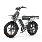 PIXAR M9 E-Bike | Retro Fatbike mit Doppelakku & bis zu 240 km Reichweite