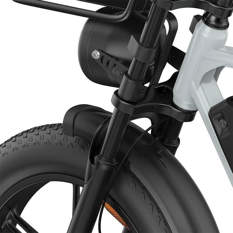 PIXAR M9 E-Bike | Retro Fatbike mit Doppelakku & bis zu 240 km Reichweite