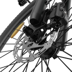 PIXAR C1 Pro E-Bike | City E-Bike mit Samsung Akku & 150 km Reichweite