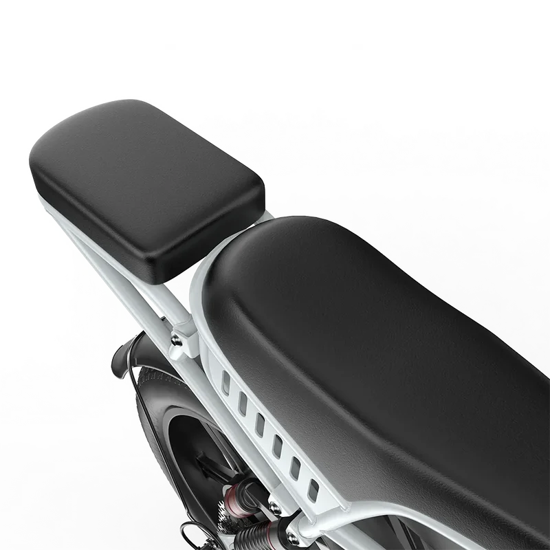 PIXAR M9 E-Bike | Retro Fatbike mit Doppelakku & bis zu 240 km Reichweite